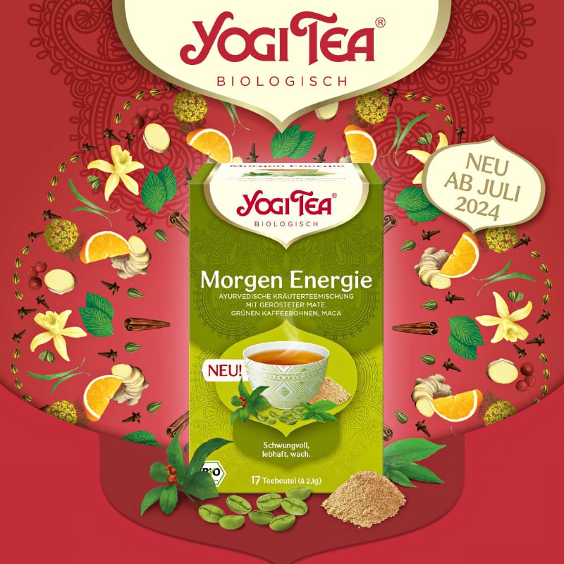 Morning Energy, vitalita a energia, porciovaný čaj, 17 vreciek