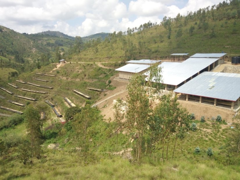 Oblasť pestovania kávy, Rwanda Bwenda