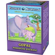 Detský ajurvédsky čaj Gopal - dýchacie cesty, sypaný čaj, 100g