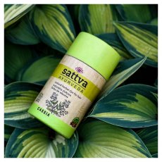 Henna na farbenie a výživu vlasov, zlatistá 150g