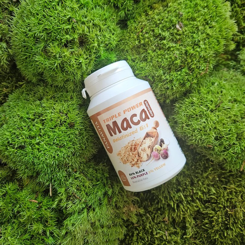 Maca Tripple Power (Gelatinized 6:1) kapsule