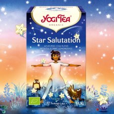 Star Salutation, trávenie a koncetrácia, porciovaný čaj, 17 vreciek