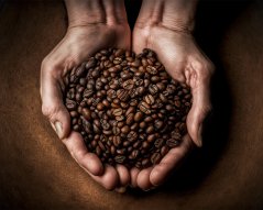 Objavte lahodné kávy z celého sveta!